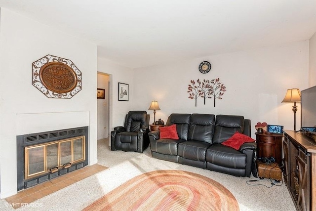 214 E Bailey Rd Unit J, Naperville, IL 60565 - carpeted living area with a fireplace with flush hearth