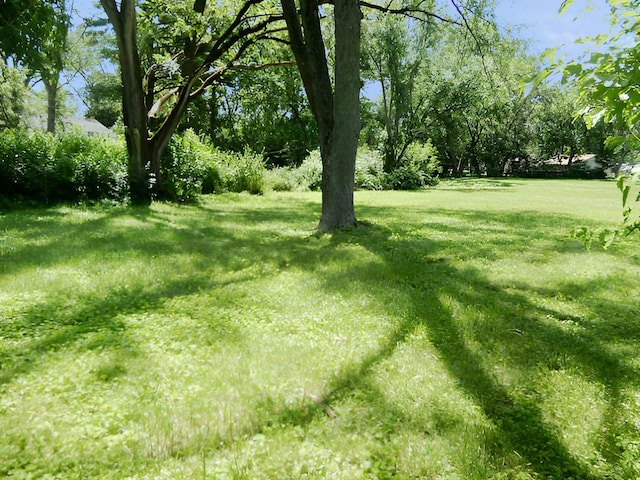 18055 Thomas Ln, Country Club Hills, IL 60478 - photo 6