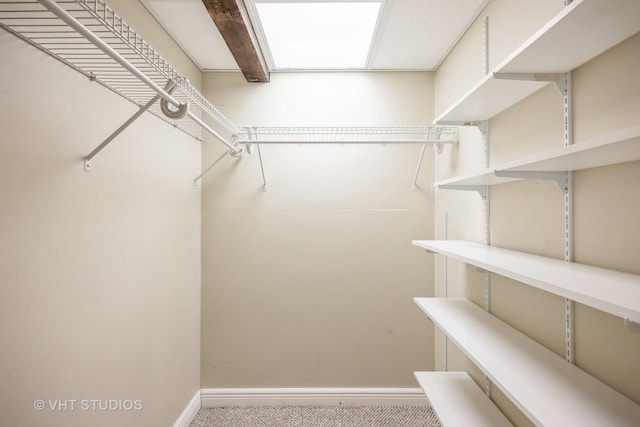 376 Douglas Ave, Crystal Lake, IL 60014 - walk in closet featuring carpet flooring