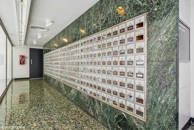 900 N Lake Shore Dr Unit 2906, Chicago, IL 60611 - hall featuring mail area