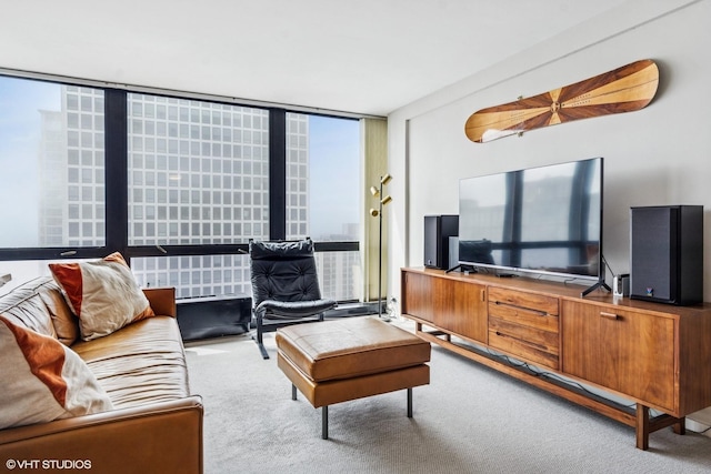 900 N Lake Shore Dr Unit 2906, Chicago, IL 60611 - view of carpeted living room