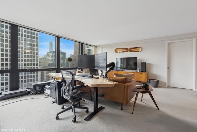900 N Lake Shore Dr Unit 2906, Chicago, IL 60611 - office featuring carpet