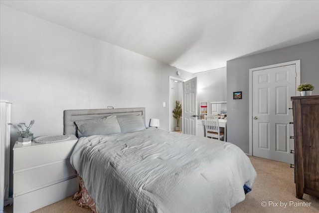 1565 Cornell Pl, Hoffman Estates, IL 60169 - bedroom featuring light colored carpet