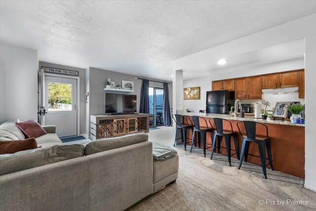 1565 Cornell Pl, Hoffman Estates, IL 60169 - living room with light carpet and a textured ceiling
