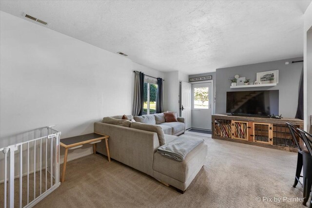1565 Cornell Pl, Hoffman Estates, IL 60169 - living area with a textured ceiling and carpet floors