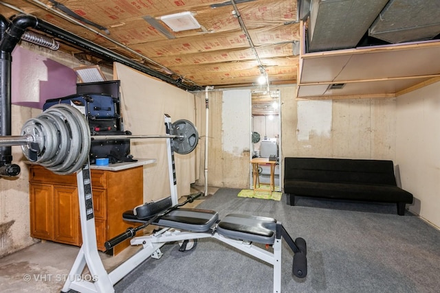 253 Edgewater Dr, Bloomingdale, IL 60108 - view of exercise area