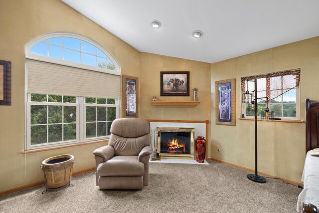 5008 Country Springs Dr, Johnsburg, IL 60051 - photo 20