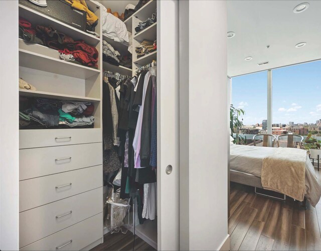 500 W Superior St Unit 808, Chicago, IL 60654 - spacious closet with dark wood-style flooring
