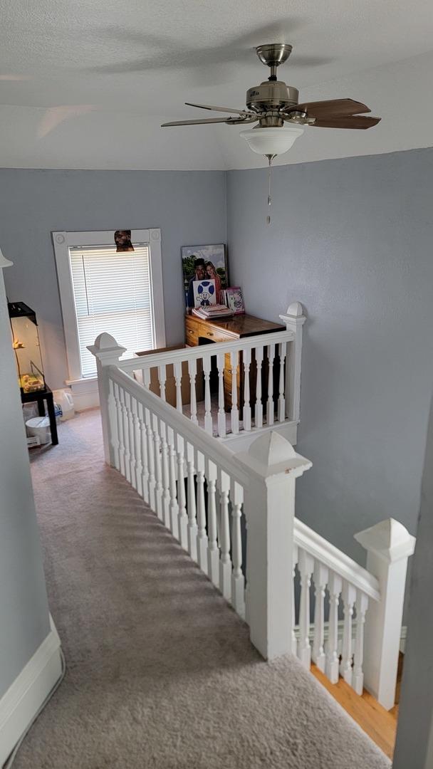 401 Dixon Ave, Rock Falls, IL 61071 - stairs with carpet, a ceiling fan, and baseboards