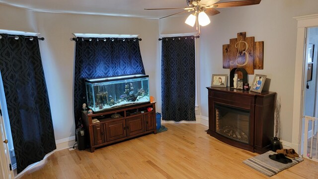 401 Dixon Ave, Rock Falls, IL 61071 - living room with ceiling fan, light wood-style flooring, baseboards, and a glass covered fireplace