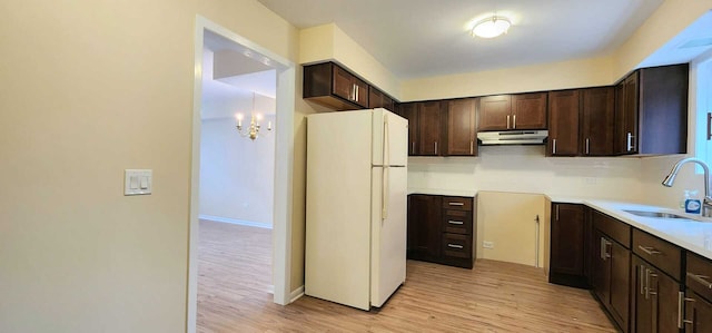 2338 S Canal St Unit H, Chicago, IL 60616 - kitchen with freestanding refrigerator, a sink, under cabinet range hood, dark brown cabinetry, and light wood-style floors