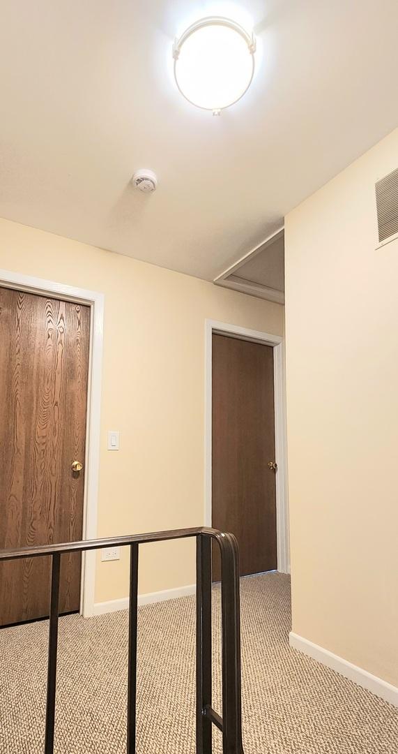 2338 S Canal St Unit H, Chicago, IL 60616 - corridor featuring carpet floors, attic access, and baseboards