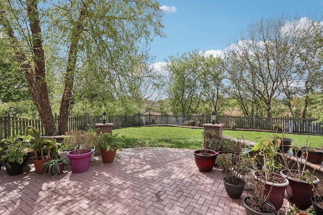 1337 E Thacker St, Schaumburg, IL 60173 - view of patio / terrace