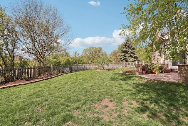 1337 E Thacker St, Schaumburg, IL 60173 - view of yard with a patio