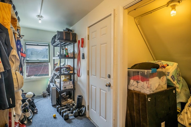 2512 N Marshfield Ave, Chicago, IL 60614 - view of storage