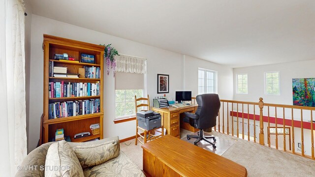105 Grandview Ct, Volo, IL 60020 - carpeted office space featuring healthy amount of natural light and baseboards