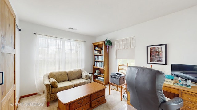105 Grandview Ct, Volo, IL 60020 - office space with plenty of natural light, light carpet, and baseboards