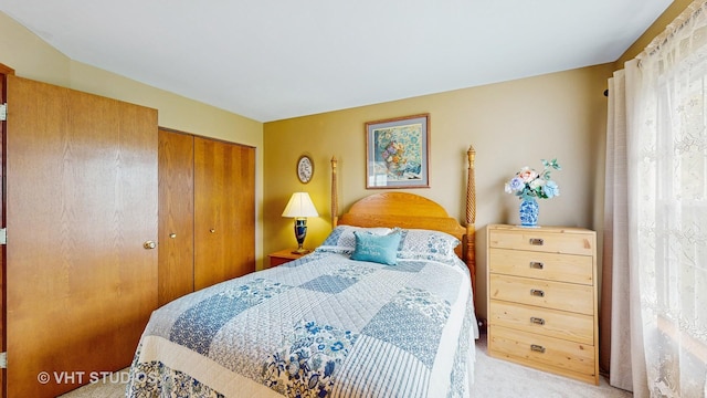 105 Grandview Ct, Volo, IL 60020 - bedroom featuring multiple windows, a closet, and light carpet