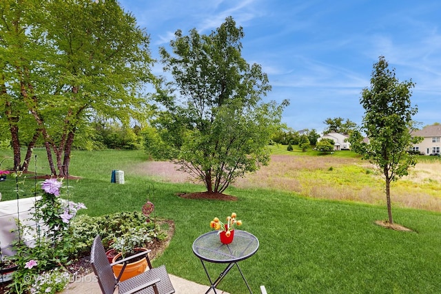 105 Grandview Ct, Volo, IL 60020 - view of green lawn