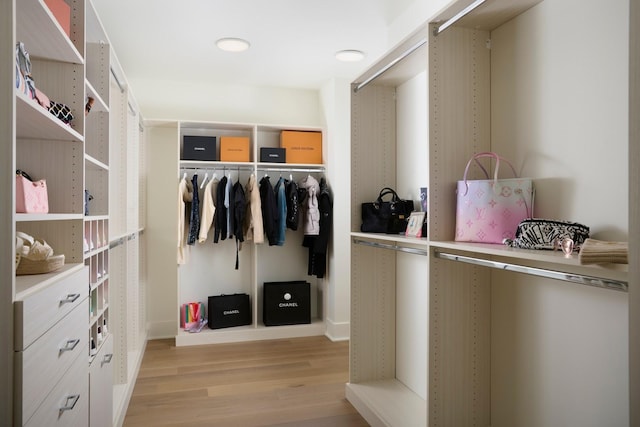 363 E Wacker Dr Unit 6106, Chicago, IL 60601 - spacious closet featuring light wood-style floors