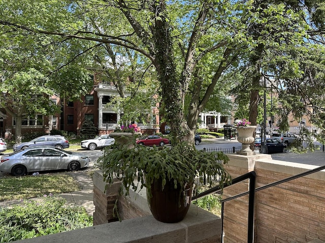 5484 S Hyde Park Blvd, Chicago, IL 60615 - view of yard