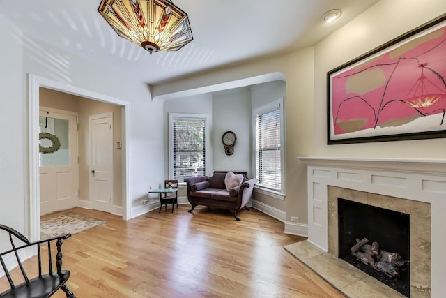 5484 S Hyde Park Blvd, Chicago, IL 60615 - living area with light wood finished floors, a premium fireplace, and baseboards