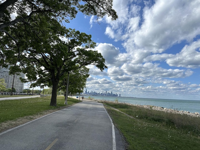 5484 S Hyde Park Blvd, Chicago, IL 60615 - water view