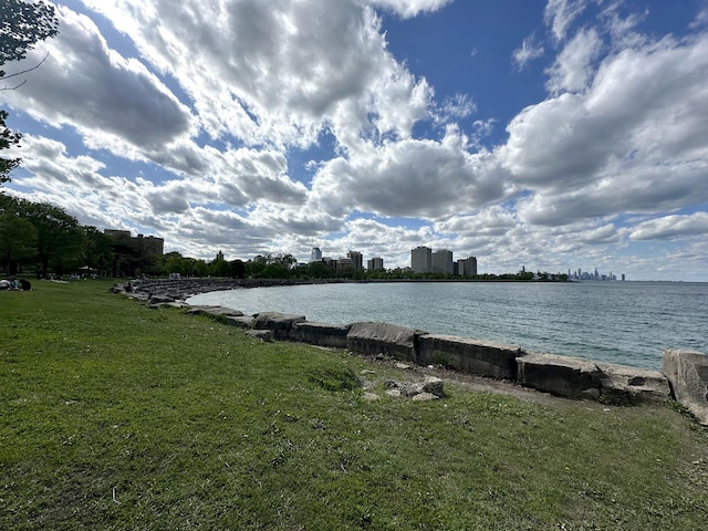 5484 S Hyde Park Blvd, Chicago, IL 60615 - water view