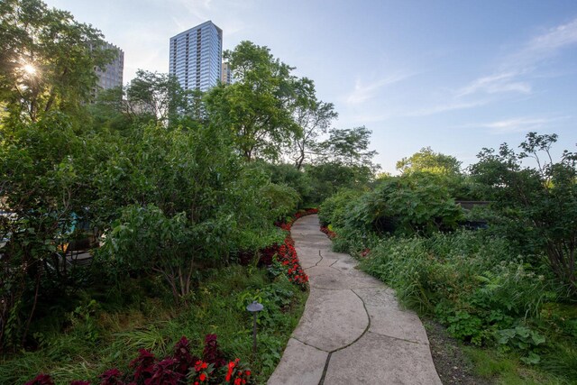 505 N Lake Shore Dr Unit 4105, Chicago, IL 60611 - view of surrounding community