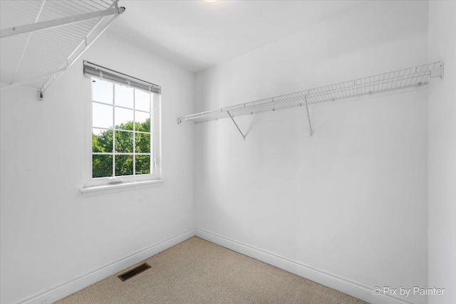 18104 Lake Shore Dr, Orland Park, IL 60467 - spacious closet with carpet
