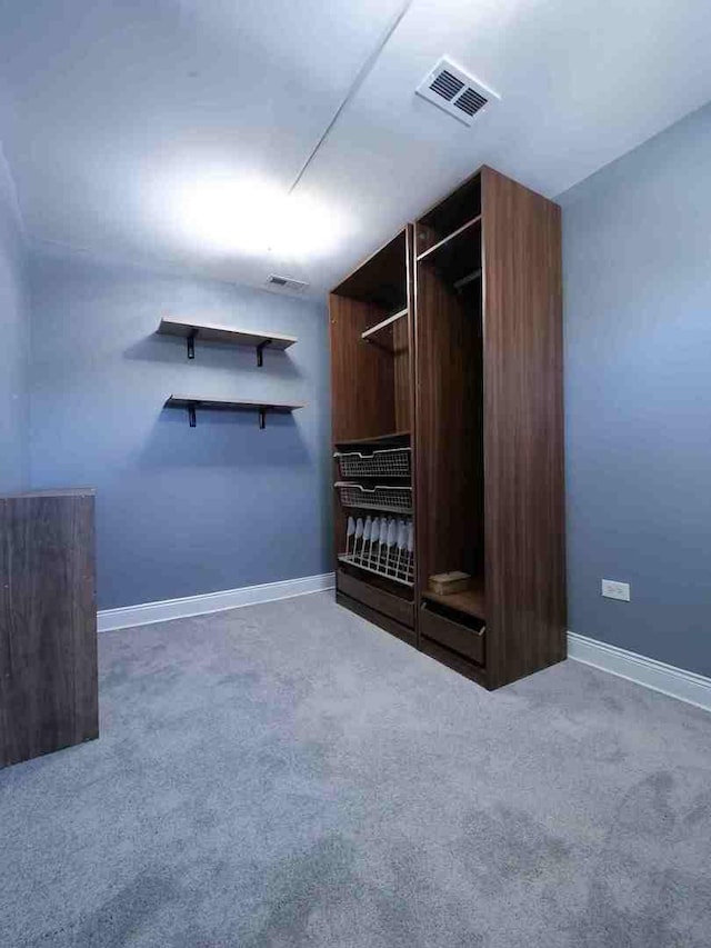 spacious closet featuring carpet flooring