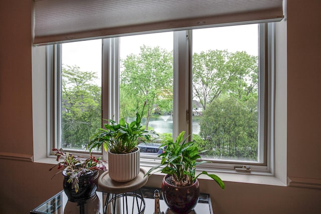 1111 S Waukegan Rd Unit 10, Lake Forest, IL 60045 - detailed view of a nearby body of water