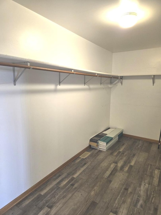 1988 S Chana Rd, Chana, IL 61015 - spacious closet with dark wood-style floors