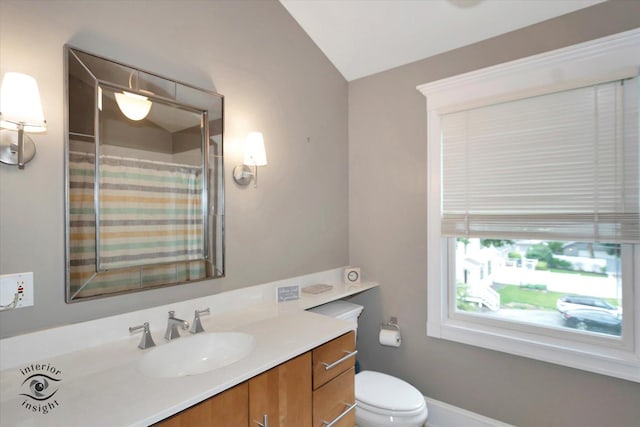 616 E Hillside Ave, Barrington, IL 60010 - full bathroom featuring vanity, lofted ceiling, and curtained shower