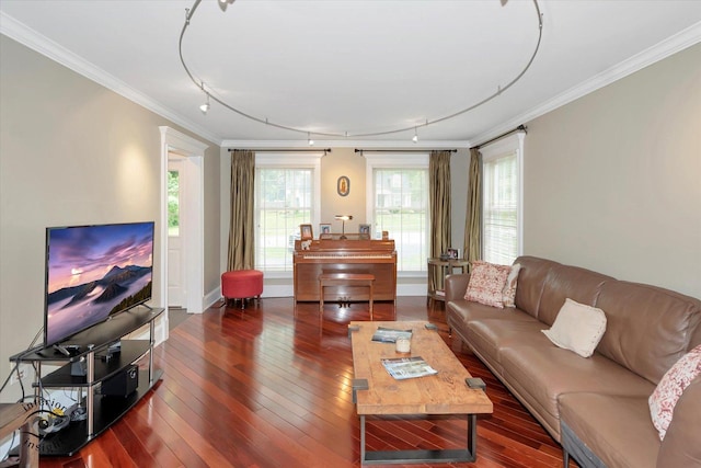 616 E Hillside Ave, Barrington, IL 60010 - living room with track lighting, crown molding, and hardwood / wood-style floors
