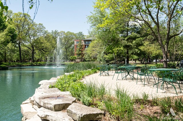 3940 W Bryn Mawr Ave Unit 403, Chicago, IL 60659 - view of property's community with a water view