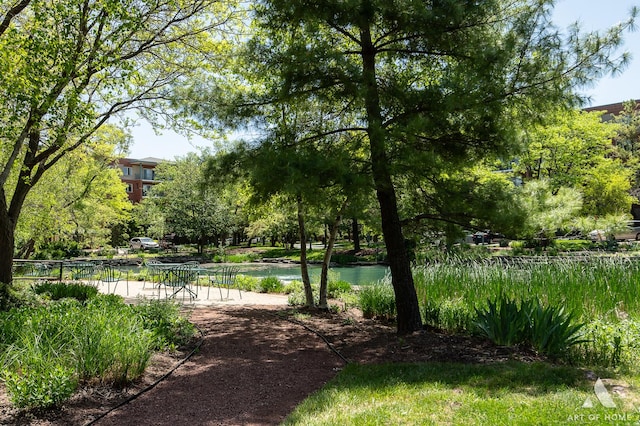 3940 W Bryn Mawr Ave Unit 403, Chicago, IL 60659