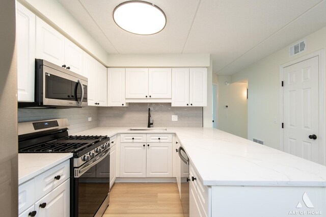 3940 W Bryn Mawr Ave Unit 403, Chicago, IL 60659 - kitchen with stainless steel appliances, a sink, a peninsula, light wood-type flooring, and tasteful backsplash