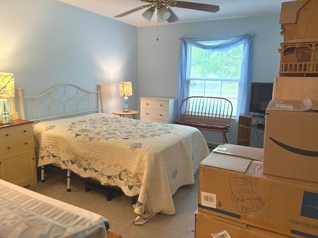 1127 N Red Oak Cir Unit 2, Round Lake Beach, IL 60073 - carpeted bedroom with a ceiling fan