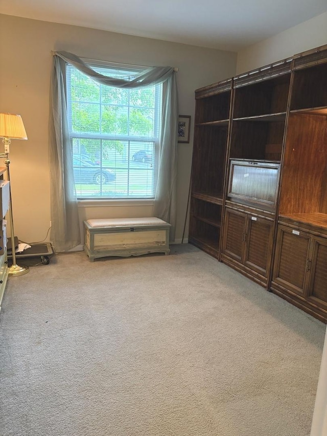 1127 N Red Oak Cir Unit 2, Round Lake Beach, IL 60073 - unfurnished living room featuring carpet