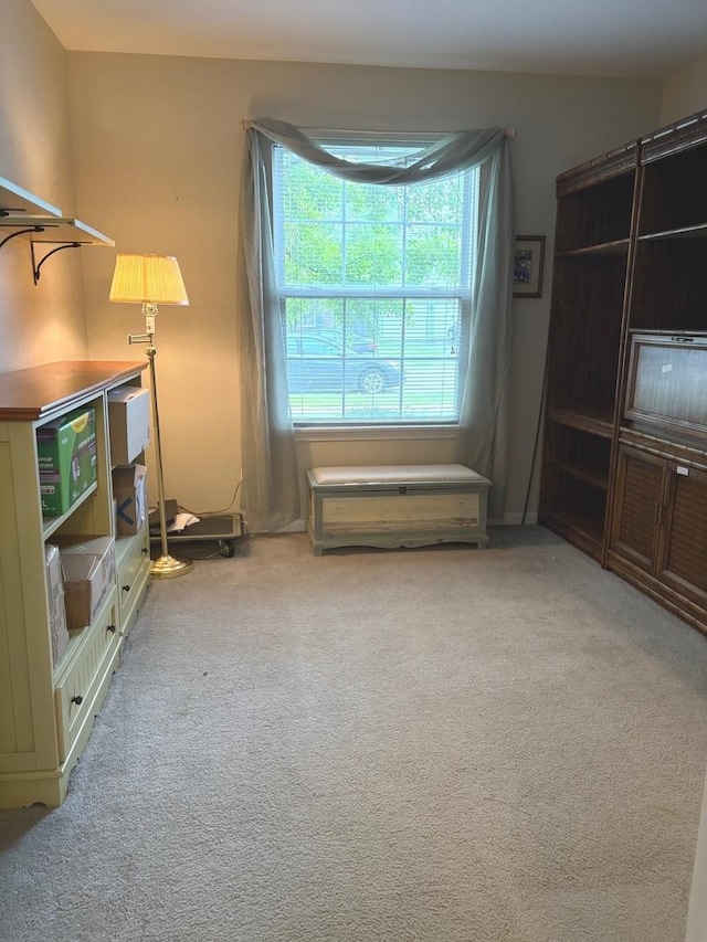 1127 N Red Oak Cir Unit 2, Round Lake Beach, IL 60073 - unfurnished room with carpet flooring