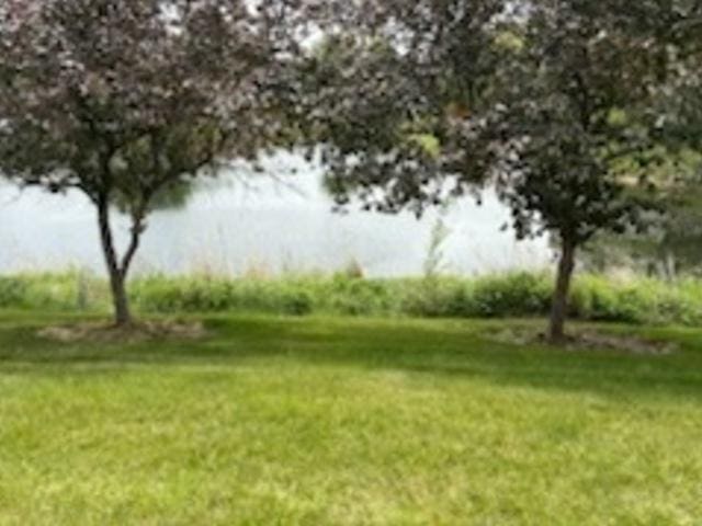 1127 N Red Oak Cir Unit 2, Round Lake Beach, IL 60073 - view of green lawn