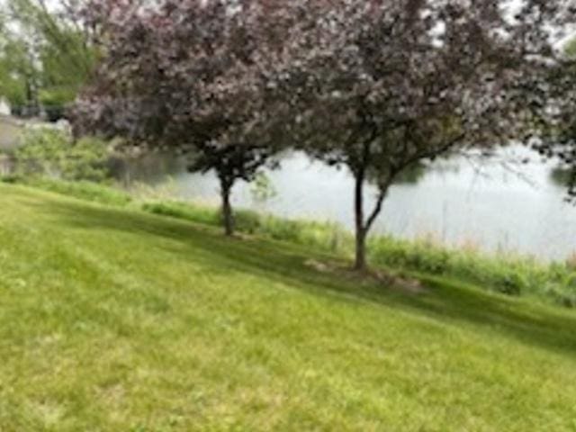 1127 N Red Oak Cir Unit 2, Round Lake Beach, IL 60073 - view of grassy yard