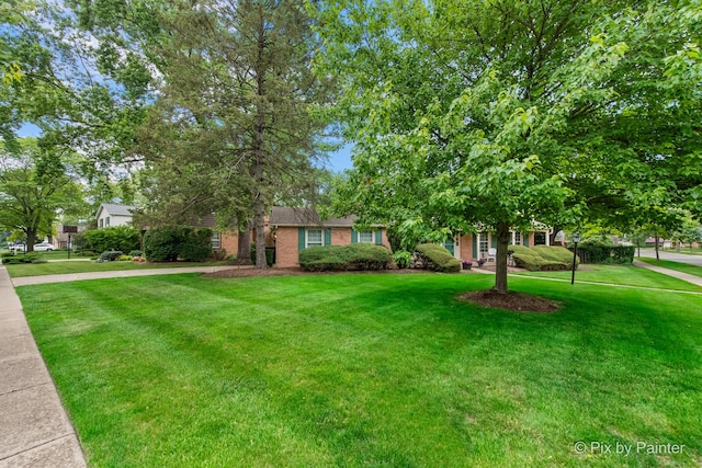 570 E Carpenter Dr, Palatine, IL 60074 - view of property hidden behind natural elements featuring a front lawn and brick siding