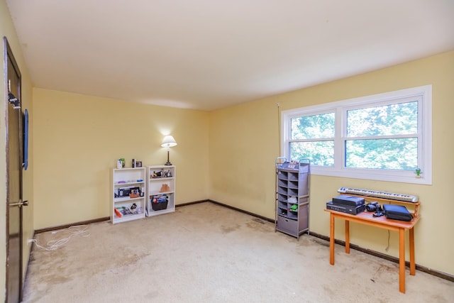 5N683 Ravine Dr, Saint Charles, IL 60175 - misc room featuring light colored carpet and baseboards