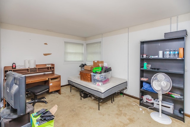 5N683 Ravine Dr, Saint Charles, IL 60175 - office area with carpet and baseboards