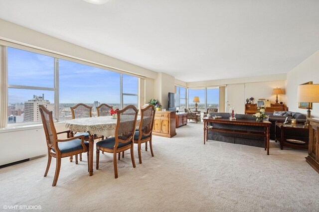 6157 N Sheridan Rd Unit 22M, Chicago, IL 60660 - photo 7