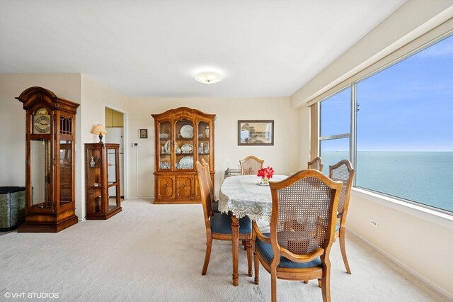 6157 N Sheridan Rd Unit 22M, Chicago, IL 60660 - photo 8