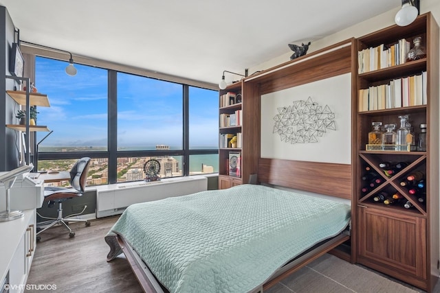 5415 N Sheridan Rd Unit 5011, Chicago, IL 60640 - bedroom with a desk, wood finished floors, radiator, and a water view