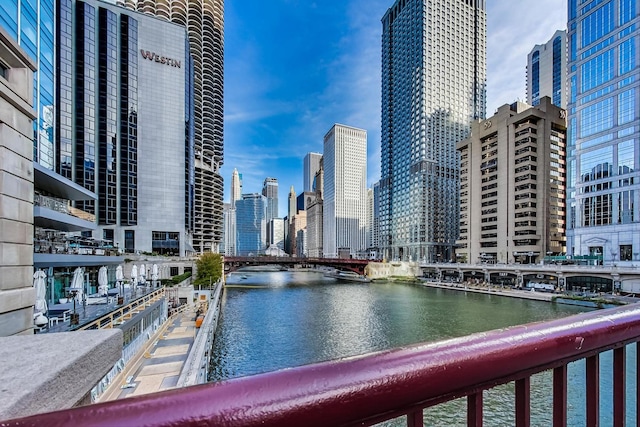 345 N Lasalle Blvd Unit 3602, Chicago, IL 60654 - water view with city skyline and a notable bridge